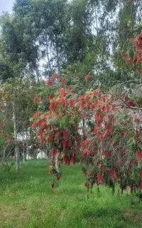 اوراق شهرداری مناسب همه مناطق