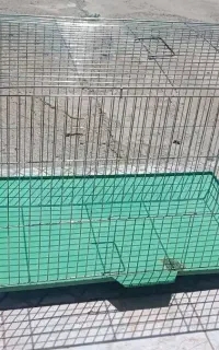 قفس پرنده
