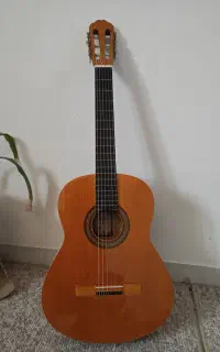 گیتار اصل