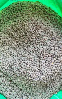 استخدام نیرو