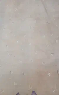پالاز موکت وفرش