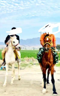 اسب مسابقه ای