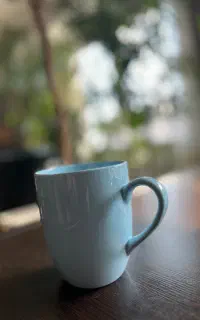 عکاس حرفه‌ای و کارآموز خانم
