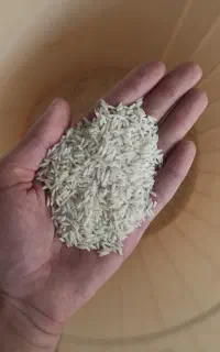 برنج هاشمی اعلا ۲۰ کیلویی