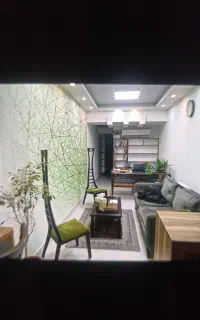 فروشنده و ویزیتور