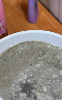 محلول پاکسازی رشک شپش سالن تخصصی مو