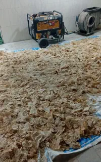 نون خشک نو