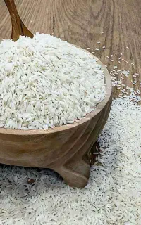 برنج هاشمی صومعه سرا