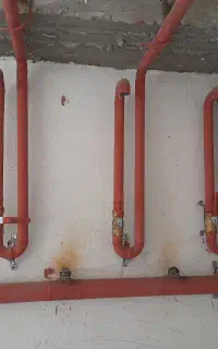 شاگرد