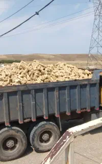 آجر سه سوراخ اهر