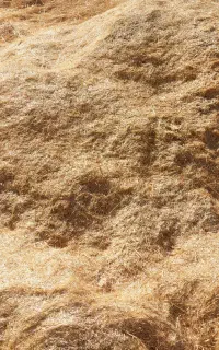 کاه