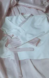 هانبوک کره ای