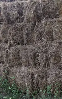 علف پرس شده سایز بزرگ