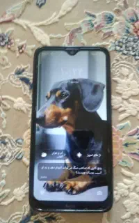 شیائومی