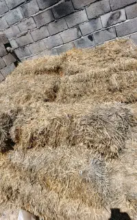 پرس گندم