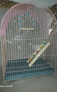 قفس پرنده