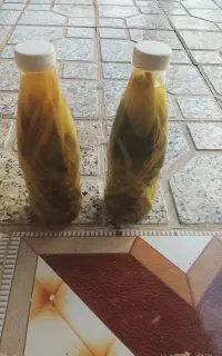 ترشی بیلهر