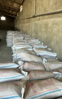 کود دی آمونیوم فسفات اصلی