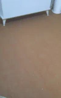 موکت