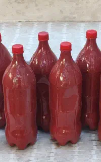 رب‌خانگی