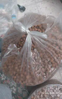 غذای ماهی