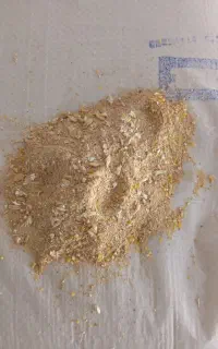 کنستانتره دامی