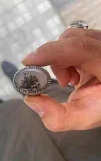 شجر