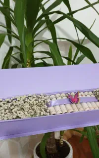 پول آرایی مناسب عقد عروسی