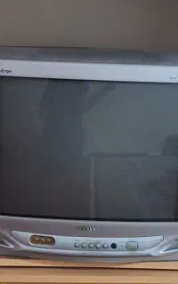 تلوزیون