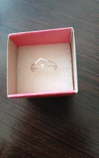 حلقه و پشت حلقه نقره