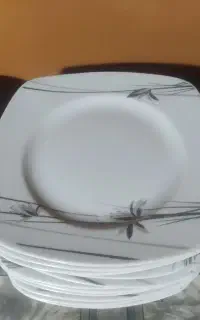 چینی توس  نو