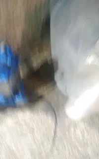 کف کش سه اینچ  سه فاز