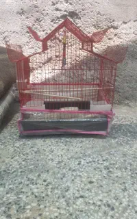 قفس پرنده
