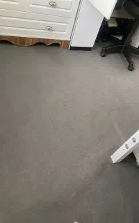 دوعدد موکت