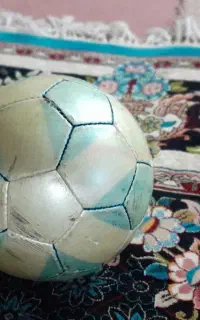 توپ سالنی
