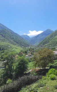 کارگر دامداری