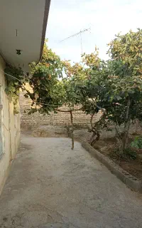 اجاره روزانه خانه حیاط دار