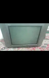 تلویزیون