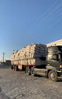 کاه، گندم و جو با بهترین کیفیت و نازلترین قیمت
