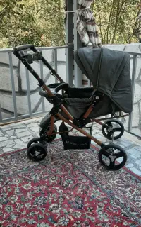 کالسکه دلیجان مدل بنیتا