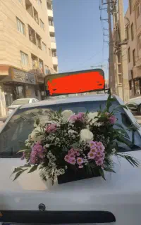 آموزش رانندگی بانوان عزیز با مربی خانم