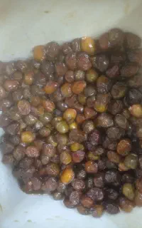 رطب خاصه درجه یک