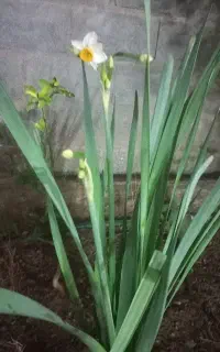 جوشکاری سیار ،تمام وقت