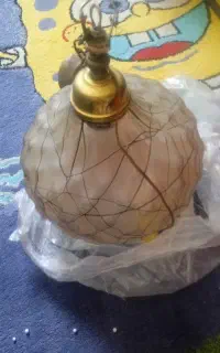 لوستز تک شاخ