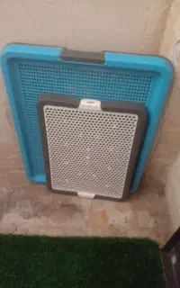 سینی