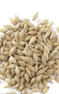 جو محلی