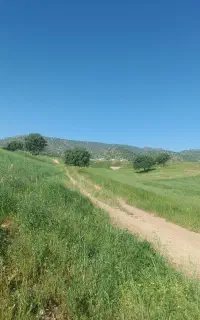 کارگر کشاورزی برای کوهدشت و حومه