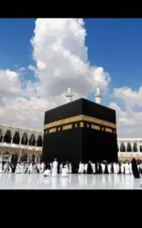 فروشنده فیش حج تمتع
