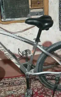 دوچرخه