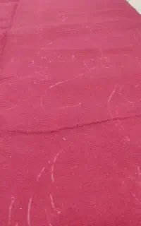 موکت در سوسنگرد